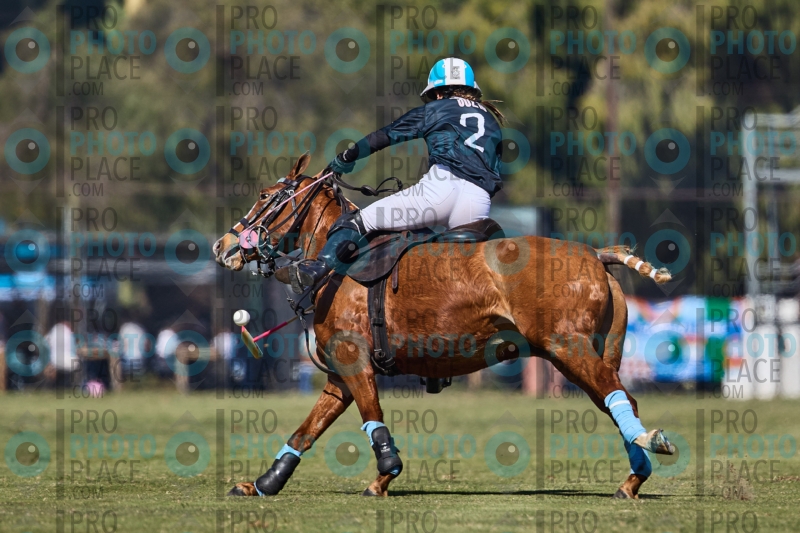 1613-R6-IMG_2753
