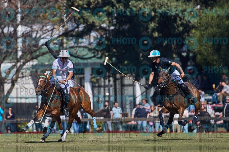 1656-R6-IMG_2796