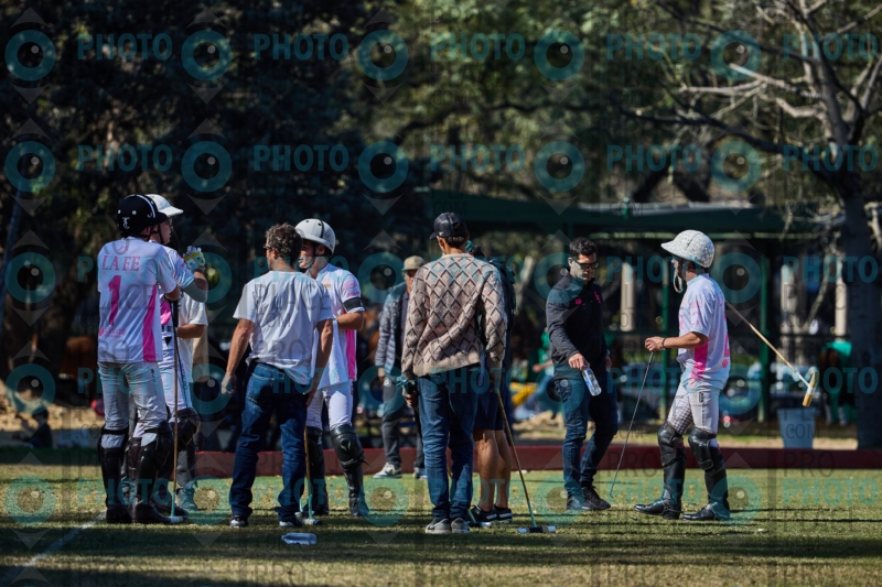 2016-R6-IMG_3179