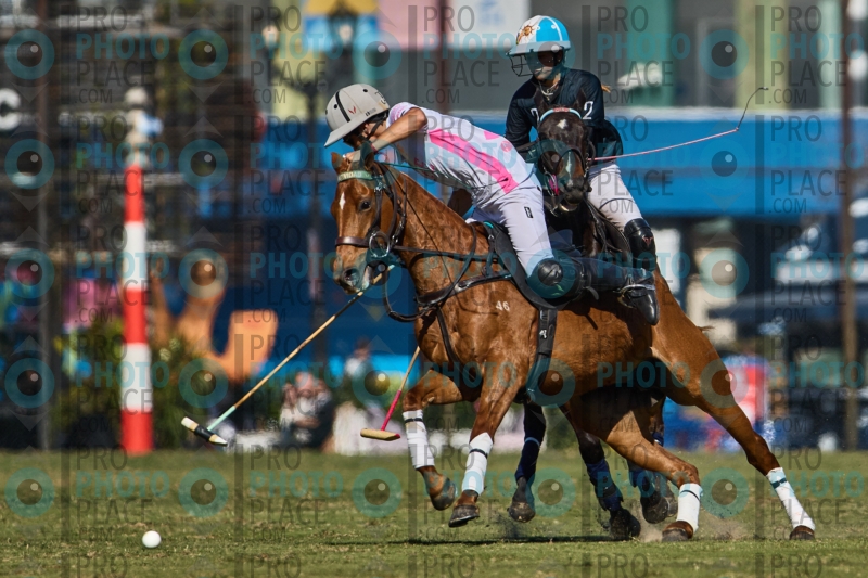 2340-R6-IMG_3474