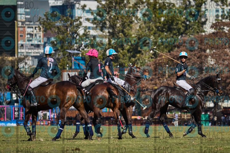 2511-R6-IMG_3659