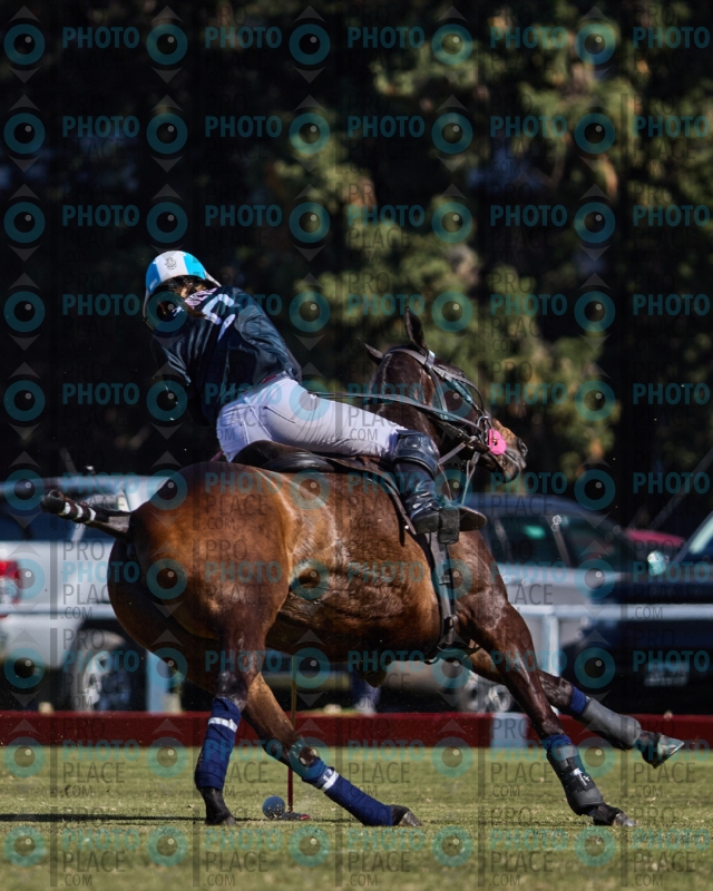 2571-R6-IMG_3719