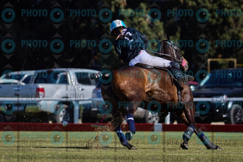 2574-R6-IMG_3722