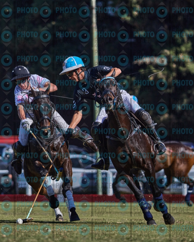 2627-R6-IMG_3775