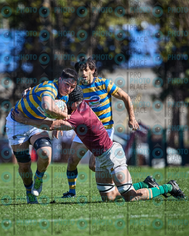 0036-R6-IMG_4896