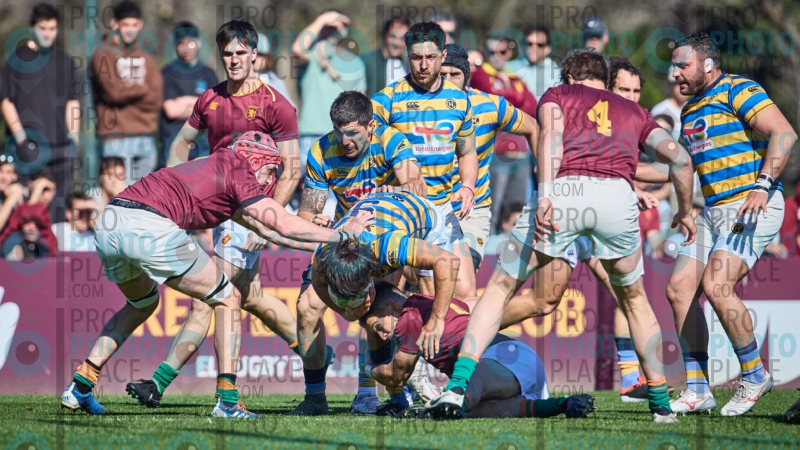 0048-R6-IMG_4910