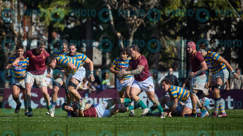 0288-R6-IMG_5214