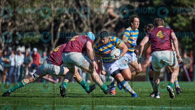 0393-R6-IMG_5335