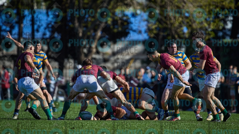 0462-R6-IMG_5432