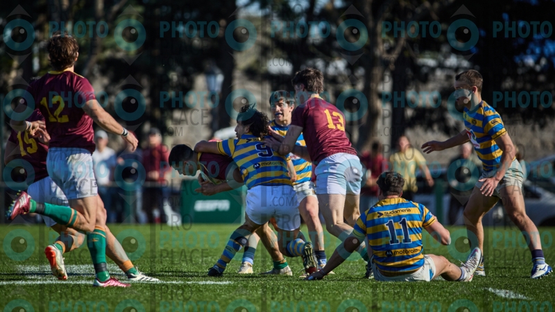 0571-R6-IMG_5550