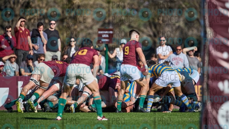 0677-R6-IMG_5666