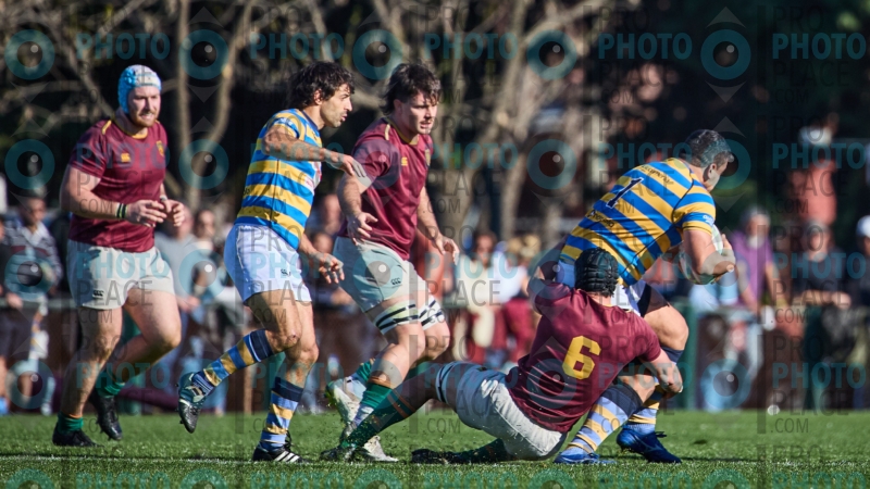 1116-R6-IMG_6137