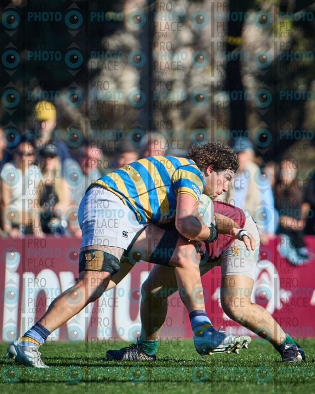 1214-R6-IMG_6231