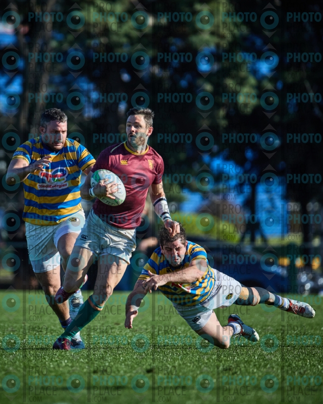1255-R6-IMG_6281