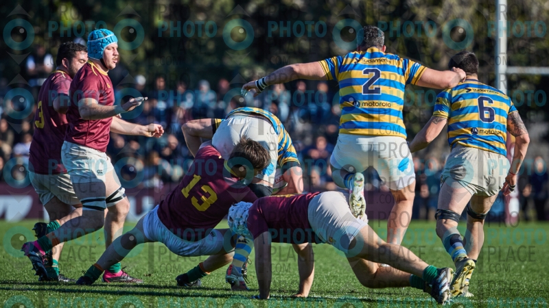 1375-R6-IMG_6421