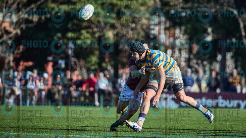 1396-R6-IMG_6442