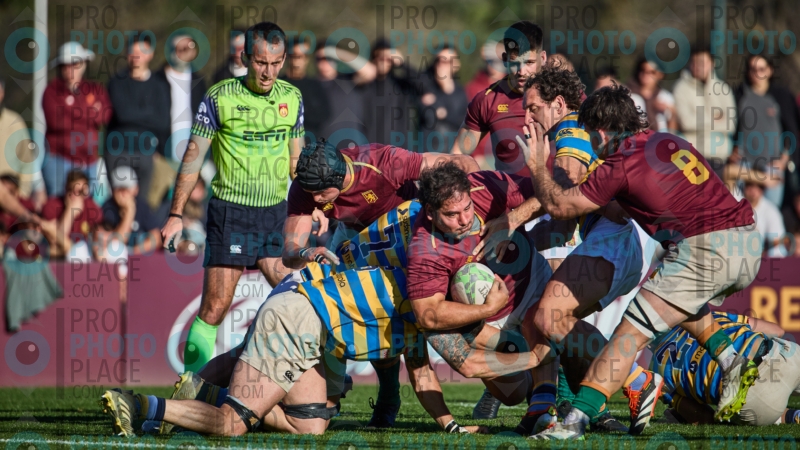 1641-R6-IMG_6695
