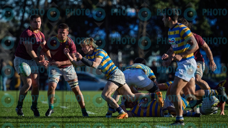 1750-R6-IMG_6825