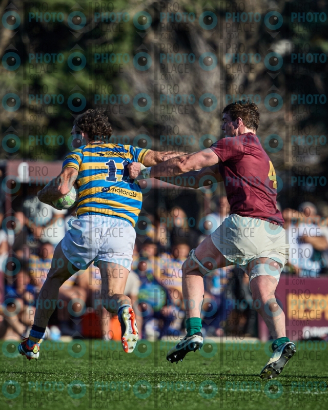 1771-R6-IMG_6846